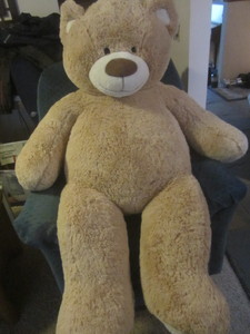 Plush teddy bear approx 60H...