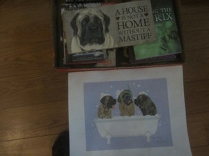 Dog collectibles with Mastiff...
