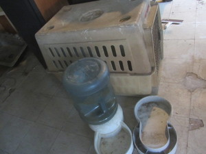 Pet Care