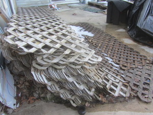 Lattice