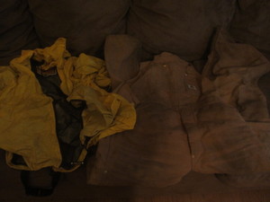 Carhartt Bibs