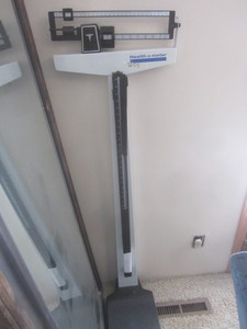 Heathometer professional floor scal...