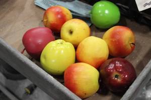 Apple Decorative Vase Filler