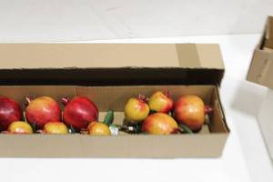Pomegranate Decorative Artificial Vase Filler