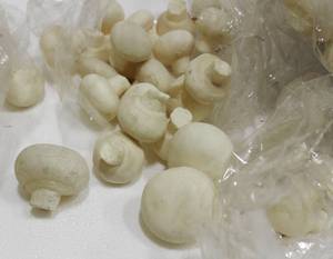 Mushroom Vase Filler