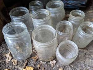 lot 267 image: Ten Glass Canning Jars in Assorted Sizes