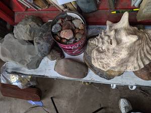 lot 339 image: Agates, Assorted Rocks and Large Conch Shell