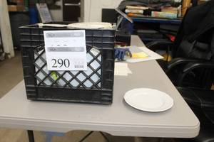 Lot of (50) Salad Plates 7-12