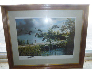 lot 17 image: Lifting to the North Framed Print by Ken Zilla