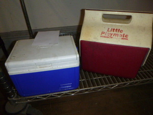 lot 89 image: 2 Small Coolers