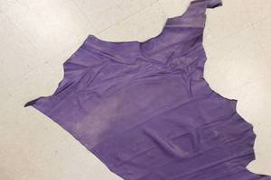 Cow Hide Leather Purple In Color