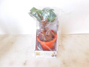 lot 26 image: New Harry Potter Mandrake