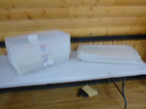 lot 186 image: 10 Totes with Some Lids