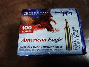 lot 39 image: Federal 223-55 Grain FMJ 100-Count