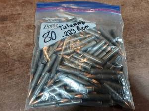 lot 41 image: Tulammo 223 Remington 80-Count