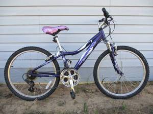 Iron Horse Bicycle