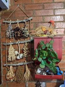 lot 446 image: Farmhouse and Natural Decor Items
