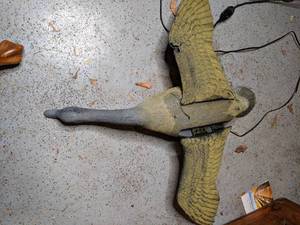 lot 815 image: Flying Goose Decoy