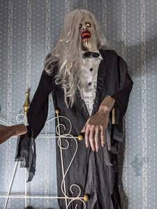 lot 336 image: Creepy Halloween Costume