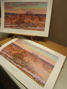 HARVEST-PHEASANTS BULK LTD ED. PRINTS, SIGNED, NUMBERED, BY MN ARTIST WAYNE MEINEKE, 625-723800