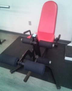 Workout Bench with Multi Position Exercises