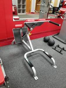 lot 28 image: Cybex 40-degree Back Extension 5411-90