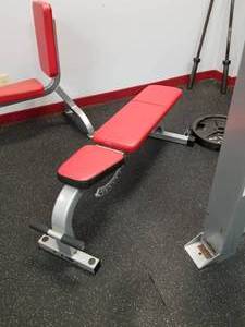 lot 48 image: Cybex Free Weight 5437-90