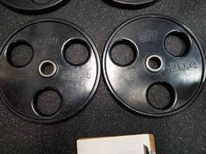 lot 52 image: Lot of (2) GPI Free Weights 45lb.