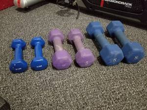 lot 97 image: Lot of (6) Neoprene Hex Dumbbell 8lb. (x2), Neoprene Hex Dumbbell 5lb. (x2), Neoprene Hex Dumbbell 2lb. (x2)