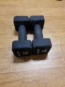 lot 104 image: Lot of (2) Reebok Square Dumbbells 12lb.