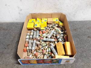 Assortment of Cartridge Fuses and Plug Fuses