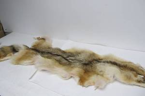 lot 179 image: Genuine Full Coyote Pelt
