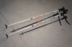 lot 303 image: Ski Poles