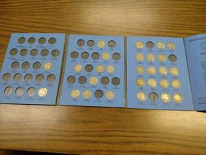 (28) Buffalo Nickels in Album...