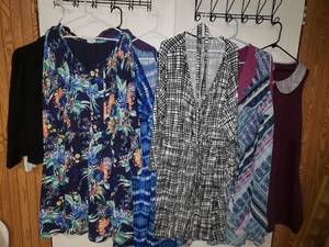 lot 194 image: Awesome Lot of Womens Size 3X & 4X Clothing, Many New