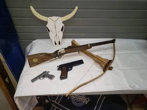 lot 202 image: Toy Guns and More