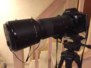lot 219 image: Cannon EOS 630 w Sigma Tele Lense  & Velbon DF40 Tripod