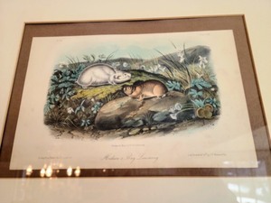 lot 23 image: Pair of Framed Antique Lithographs