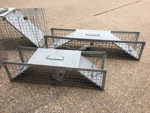 lot 294 image: Four Havahart Live Traps