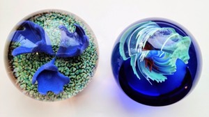 lot 424 image: Pair of Caithness Scotland Art Glass Paperweights