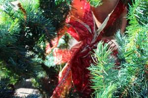 Pine Giant Garland ( Merry Christmas)