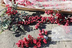 Red Berry Stems Holly For Christmas Tree Decoration