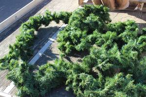 Giant Pine Garland
