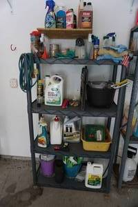 Shelf with Contents