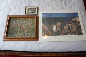 3 Pictures