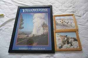 4 Yellowstone Pictures
