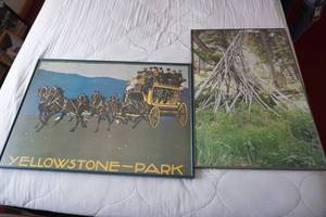 2 Yellowstone Pictures