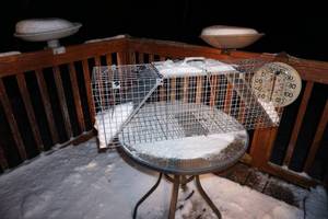 Large 1-Door Professional Live Animal Trap for Raccoon, Opossum, Groundhog