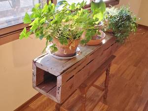 lot 203 image: Architecture Plant Stand including Plants