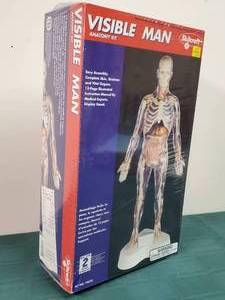 lot 244 image: New In Box Visible Man Anatomy Model Kit